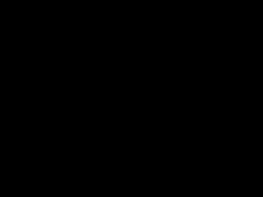 -东京包子楼(政七街店)