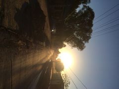iphone_upload_pic-白洋淀锅里口灶台鱼