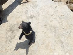 -青峰峡国家森林公园