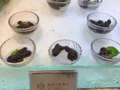 -半岛翡丽海鲜自助餐厅(观风亭店)