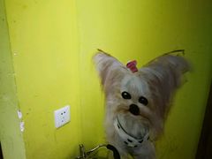 -符淼淼火锅(宽窄巷子店)