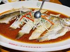 翘嘴鲌鱼-丹江渔村(望京店)