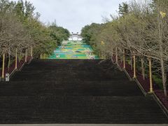 -三峡梯城