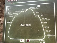 -大岭沟猕猴桃谷风景区