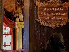 -雪灵魔法世界SHELLY’S TAROT(大良桂畔里店)