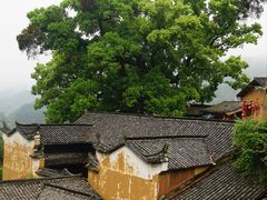-杨家堂村