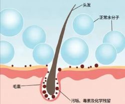 -希梵尔头皮抗衰·科技养发