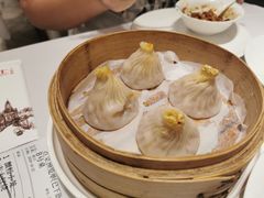 -新吉士·上海菜(浦东LCM置汇旭辉店)