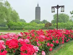 -西海子公园