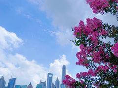 -上海港国际客运中心