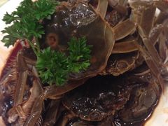 老东吴食府(雅都店)-老东吴食府(雅都店)