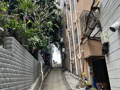 -长洲岛