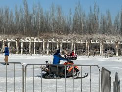 -优沃得自然教育农场·冰雪乐园·生日会·研学