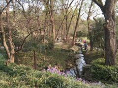 -WeLope紫金山探险公园