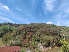 -贵州百里杜鹃风景名胜区