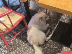 -高望村老王家(南光店)