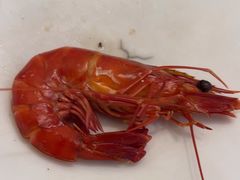 -五谷芳乳鸽王(梅沙老店)