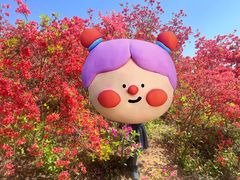 -瑞安圣井山景区