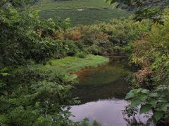 -长兴开元名都大酒店·地中海咖啡厅