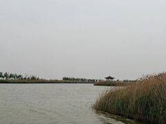 -南大港湿地风景区