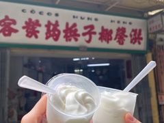 -洪馨椰子