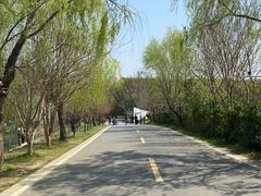 -同里国家湿地公园