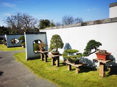 -扬州大运河文化旅游度假区·盆景园