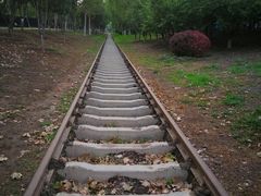 -永定河休闲森林公园