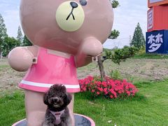 -爱侣宠医·鹦鹉专科·小型哺乳类·异宠专科(灵石路店)