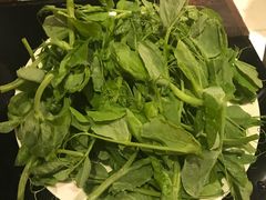 -蜀九香火锅(九眼桥店)