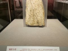 -北京大学赛克勒考古与艺术博物馆