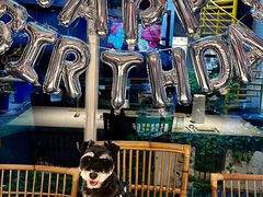 -春树下·树屋花房西餐厅(罍街AS1980店)