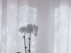 -京兆尹(雍和宫店)