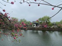 -无锡蠡湖国家湿地公园-蠡园
