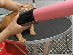 -四月宠物医院·猫专科·心脏专科·内科(转塘店)