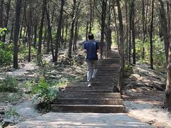 -云龙山