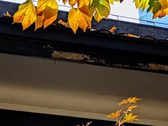 -湖南省立第一师范学校旧址