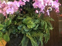 -上海虹桥西郊假日酒店