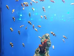 -南昌融创海世界