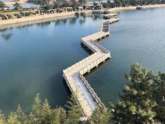 -莫内艺术岛海景咖啡