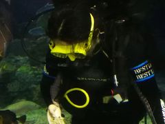 -太平洋海底世界