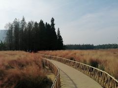 -艾溪湖湿地公园