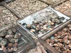 -浩运海鲜·16年专注青岛菜(石老人店)