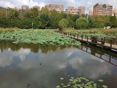 -前关湿地公园