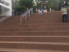 -香港大学