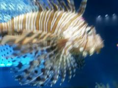 -福州罗源湾海洋世界旅游区