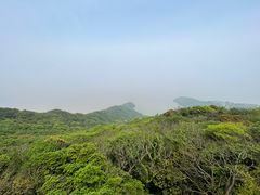 -普陀山风景区-佛顶山