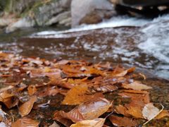 -光雾山十八月潭风景区-售票处