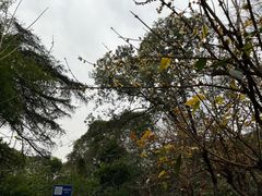 -望江楼公园