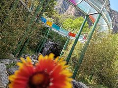 -十渡东湖港风景区